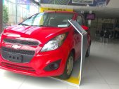 Chevrolet Spark LS 2017 - Cần bán Chevrolet Spark LS 2017, 339 triệu giá 339 triệu tại Cần Thơ