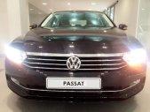 Volkswagen Passat 2016 - Cần bán xe Volkswagen Passat sản xuất 2016, nhập khẩu nguyên chiếc giá 1 tỷ 450 tr tại BR-Vũng Tàu