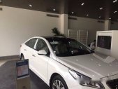 Hyundai Sonata   2.0AT 2017 - Bán xe Hyundai Sonata 2.0AT đời 2017, màu trắng - LH 0933860011 giá 1 tỷ 60 tr tại Tp.HCM