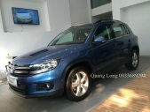 Volkswagen Tiguan 2016 - Tiguan màu xanh nhập khẩu chính hãng - đối thủ của CX5, CRV - Giao xe tận nhà - Quang Long 0933689294 giá 1 tỷ 290 tr tại Tp.HCM
