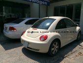 Volkswagen Beetle 2009 - Cần bán gấp Volkswagen Beetle năm 2009, màu kem (be), nhập khẩu, 700 triệu giá 700 triệu tại Tp.HCM