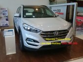 Hyundai Tucson 2017 - Cần bán Hyundai Tucson đời 2017, nhập khẩu giá 845 triệu tại Đà Nẵng