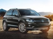 Volkswagen Tiguan 2016 - Bán Volkswagen Tiguan đời 2016, nhập khẩu giá 1 tỷ 290 tr tại Lâm Đồng