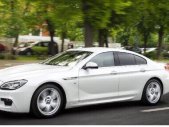 BMW 6 Series   Coupe 2016 - Bán BMW 6 Series Gran Coupe đời 2016, màu trắng, nhập khẩu chính hãng giá 3 tỷ 250 tr tại Tp.HCM