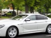 BMW 6 Series 2016 - Bán BMW 6 Series Gran Coupe đời 2016, màu trắng, nhập khẩu chính hãng giá 3 tỷ 250 tr tại Tp.HCM