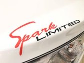 Chevrolet Spark 1.2LS Limited 2017 - Bán ô tô Chevrolet Spark 1.2LS Limited sản xuất 2017, màu trắng giá 339 triệu tại Cần Thơ