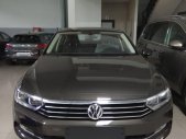 Volkswagen Passat Blue Motion 2017 - Bán Volkswagen Passat Blue Motion 2017, nhập khẩu Mỹ, màu xám giá 1 tỷ 450 tr tại Đà Nẵng