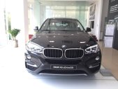 BMW X6 Mới   XDrive30i 2018 - Xe Mới BMW X6 XDrive30i 2018 giá 3 tỷ 249 tr tại Cả nước