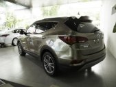 Hyundai Santa Fe 2018 - Bán ô tô Hyundai Santa Fe đời 2018 giá 1 tỷ 170 tr tại Tp.HCM