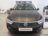 Volkswagen Passat bluemotion 2018 - Cần bán Volkswagen Passat bluemotion sản xuất 2018, màu nâu, nhập khẩu nguyên chiếc giá 1 tỷ 480 tr tại BR-Vũng Tàu