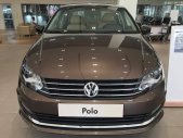 Volkswagen Polo 2017 - Cần bán Volkswagen Polo sản xuất 2017, màu nâu, nhập khẩu giá 699 triệu tại Khánh Hòa