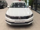 Volkswagen Passat 2017 - Bán Volkswagen Passat Bluemotion sản xuất 2017, màu trắng, nhập khẩu, giảm giá khủng những ngày cuối tháng giá 1 tỷ 450 tr tại Đà Nẵng