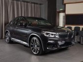 BMW X4   2018 - Bán BMW X4 sản xuất năm 2018, màu đen, xe nhập giá 2 tỷ 399 tr tại Tp.HCM