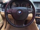BMW 5 Series 523i 2010 - Cần bán gấp BMW 5 Series 523i 2010, màu trắng, xe nhập chính chủ giá 930 triệu tại Tp.HCM