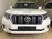 Toyota Land Cruiser Prado  2019 - Cam kết có xe Toyota Land Cruiser Prado VX 2019 đen và trắng, mới 100%, hồ sơ đăng ký ngay giá 2 tỷ 550 tr tại Hà Nội