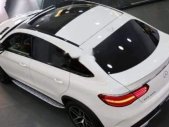Mercedes-Benz GLE-Class GLE 43 Coupe 4Matic 2018 - Bán xe Mercedes GLE 43 Coupe 4Matic sản xuất 2018, màu trắng, nhập khẩu nguyên chiếc giá 4 tỷ 559 tr tại Tp.HCM