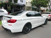 BMW 5 Series 528i 2010 - Bán BMW 5 Series 528i đời 2010, màu trắng, nhập khẩu nguyên chiếc, 980tr giá 980 triệu tại Tp.HCM