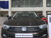 Volkswagen Passat 2017 - Xe nhập Đức Passat High Bluemotion, gói quà tặng khủng 120 triệu hoặc giảm giá sốc giá 1 tỷ 480 tr tại Tp.HCM