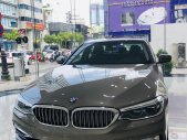 BMW 5 Series 2019 - BMW 5 Series 530i - Luxury, nhập khẩu nguyên chiếc từ Đức, xe chuẩn từ Châu Âu - giảm giá mạnh giá 3 tỷ 69 tr tại Tp.HCM