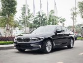 BMW 5 Series 520i 2019 - Bán ô tô hạng sang BMW 5 Series năm sản xuất 2019, màu đen, nhập khẩu giá 2 tỷ 389 tr tại Tp.HCM