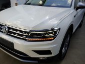 Volkswagen Tiguan 2018 - Bán xe Volkswagen Tiguan topline xe Đức nhập khẩu, trả góp 90% giá trị xe trong 7 năm giá 1 tỷ 799 tr tại Quảng Ninh