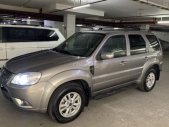 Ford Escape 2013 - Cần bán xe Ford Escape XLT 2.3L 4x4 (2 cầu) 2013, chính chủ giá 450 triệu tại Tp.HCM