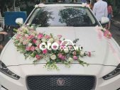 Jaguar XE   đời cuối 2015, màu trắng, máy zin 2015 - Jaguar XE đời cuối 2015, màu trắng, máy zin giá 1 tỷ 50 tr tại Hà Nội