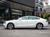 Audi A5 Bán gấp   sport back sx 2016 đi 71.000km zin 2016 - Bán gấp Audi A5 sport back sx 2016 đi 71.000km zin giá 810 triệu tại Hà Nội