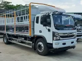Dongfeng (DFM) 9.6T 2025 - Xe nhập khẩu nguyên chiếc  - Tải trọng cho phép 9T1,tổng tải 15 tấn giá 799 triệu tại Bình Dương