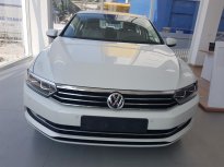 Bán Volkswagen Passat BlueMotion năm 2017, màu trắng, xe nhập giá 1 tỷ 450 tr tại Hà Nội