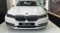 BMW 7 Series 730Li 2018 - Bán xe sang dòng 730Li ưu đãi 100 triệu đồng, giao xe ngay