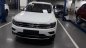 Volkswagen Tiguan G 2019 - Tiguan Allspace 2019 SUV 7 chỗ, xu thế SUV 7 chỗ mới nhất tại Việt Nam