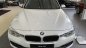 BMW 3 Series 320i 2019 - Bán BMW 320i đời 2019 sản xuất & nhập khẩu nguyên chiếc từ Đức