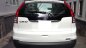 Honda CR V AT 2015 - Mình cần bán CRV 2015 tự động 2.4 full, màu trắng cực mới