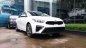 Kia Cerato 1.6 MT 2019 - Bán xe Kia Cerato 1.6 MT đời 2019, màu trắng, giá chỉ 559 triệu