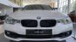 BMW 3 Series 2018 - [BMW quận 2] BMW 320i tặng 100% phí trước bạ, trả trước 20% nhận xe chỉ với 350 triệu. Hotline PKD - 0908 526 727