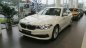 BMW 5 Series 520i 2018 - Bán xe BMW 520i năm 2018, màu trắng, xe nhập