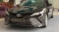 Toyota Camry 2019 - Bán xe Toyota Camry đời 2019, đủ màu, giao ngay