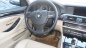 BMW 5 Series 2010 - Bán ô tô BMW 5 Series 523i sản xuất 2010, màu bạc, nhập khẩu nguyên chiếc, giá tốt