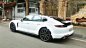Porsche Panamera 2017 - Cần bán lại xe Porsche Panamera 2017, màu trắng, xe nhập