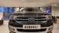 Ford Everest Titanium 2020 - Cần bán Ford Everest 2.0L 4*4 AT Titanium với giá cực sốc 