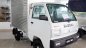Suzuki Super Carry Truck 2021 -  Suzuki Carry Truck KM 25tr mùa dịch