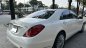 Mercedes-Benz 2016 - Trung Sơn Auto bán Mercedes-Benz bản thương gia siêu chất