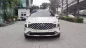 Hyundai Santa Fe 2.2 dầu cao cấp 2021 - Cần bán gấp Hyundai Santa Fe 2.2 dầu cao cấp 2021, màu trắng, giá có thương lượng