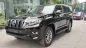 Toyota Land Cruiser Prado VX 2.7L 2019 - Bán xe Toyota Land Cruiser Prado VX 2.7L đời 2019, màu đen, xe nhập khẩu