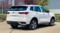 Ford Territory 2025 - FORD TERRITORY 2025 – SUV CÔNG NGHỆ DẪN ĐẦU PHÂN KHÚC