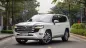 Toyota Land Cruiser 2022 - TOYOTA LAND CRUISER LC300 – TRẮNG/KEM ĐẲNG CẤP